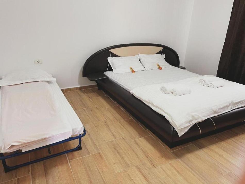 Casa Sya Vama Veche Extérieur photo