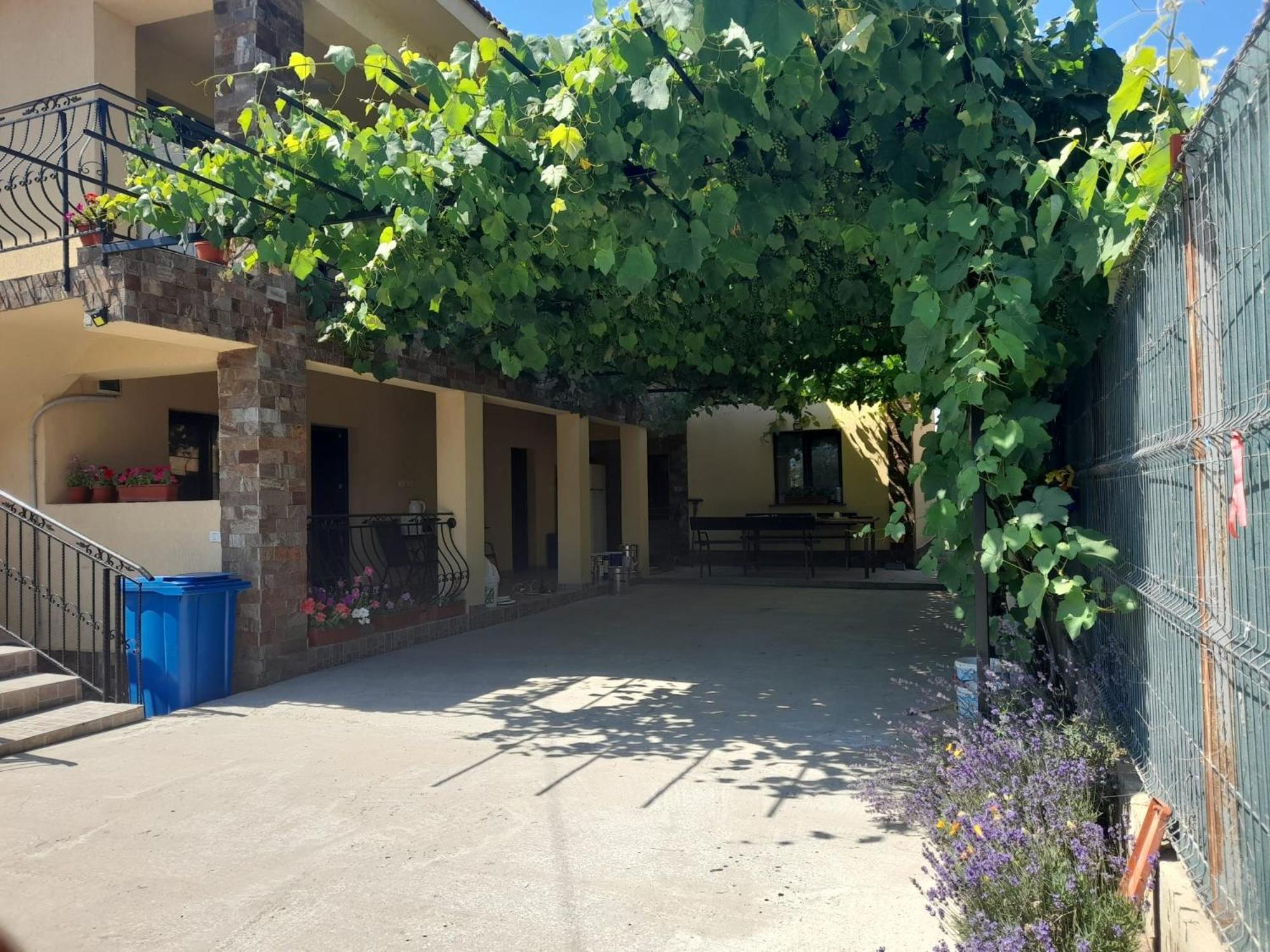 Casa Sya Vama Veche Extérieur photo